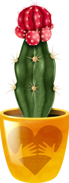 花仙人掌花盆组成图片下载