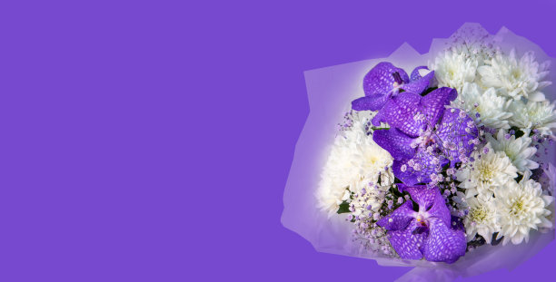 可爱的花束与淡紫色兰花和白色菊花，隔离在紫色背景与复制空间。花卡。图片下载