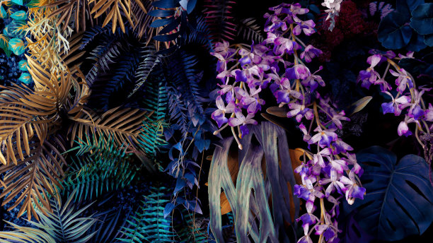 垂直观赏热带背景图片下载