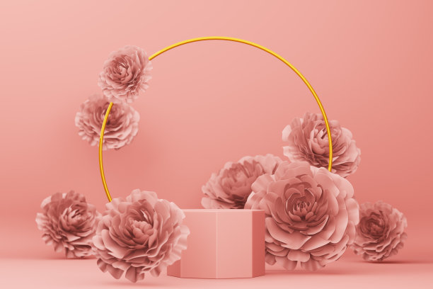 空显示与玫瑰花演示3d渲染图片下载