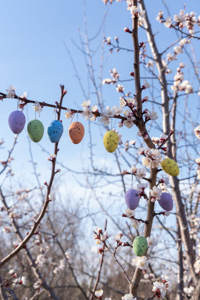 开花的树上挂着复活节彩蛋。花园为复活节而装饰。复活节装饰图片下载