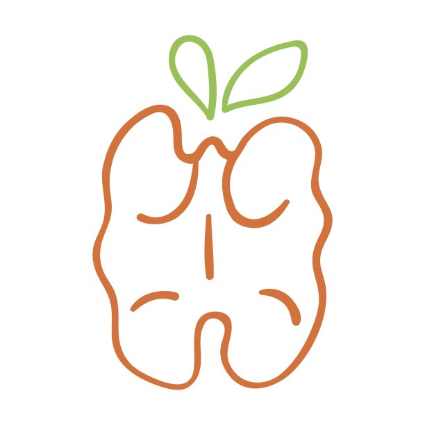 核桃。轮廓图标。图片下载