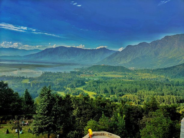 亲爱的牧师图片下载