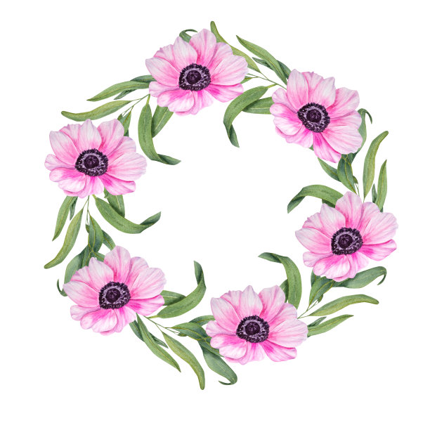 水彩花环与海葵，桉树孤立在白色背景。植物绘画明信片设计，邀请模板，情人节，生日，婚礼，母亲节卡片图片下载