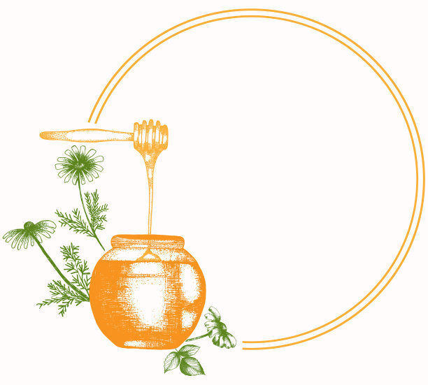 手绘蜂蜜和雏菊花环插图。详细的复古风格剪贴画的颜色。Vintage素描框架标签，包装和卡片设计。凉茶架图片下载