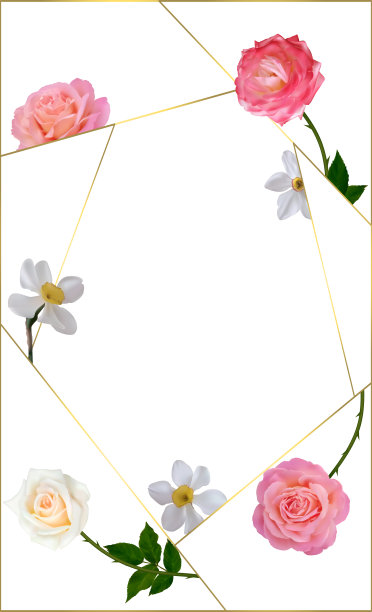 花。粉红色的玫瑰。水仙。白色花的背景。框架。水仙花。图片下载