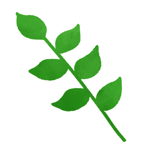 叶子，植物，嫩叶，草，杂草图片下载