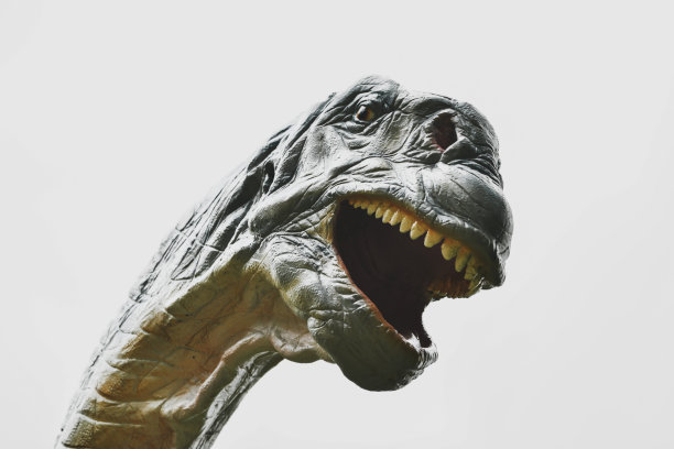 白色背景上的圆顶龙恐龙图片下载