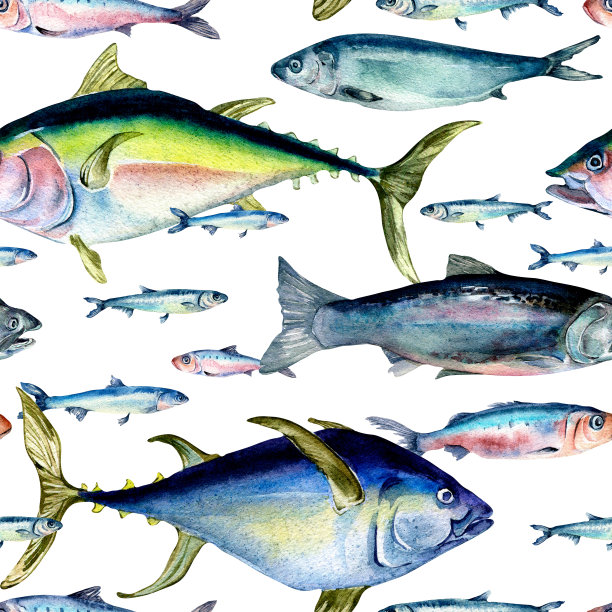 各种野生海鱼无缝图案水彩插图孤立在白色上。图片下载