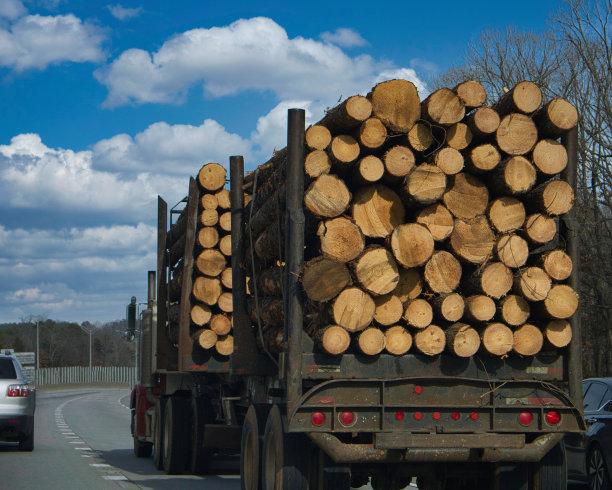 高速公路上的木材卡车。图片下载