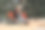 在冬天的公园里，女人正在取男人脖子上的围巾图片下载