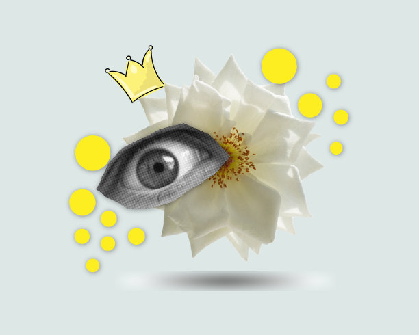 眼睛带着王冠。在现代海报上涂鸦元素。时尚艺术广告拼贴时尚设计图片下载