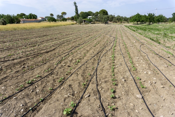 滴灌系统图片下载