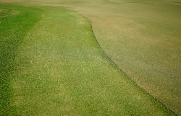 美丽新鲜的绿草高尔夫球场图片下载