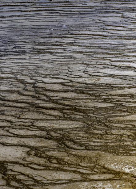 特写色彩鲜艳的间歇泉自然和自然地质现象图片下载