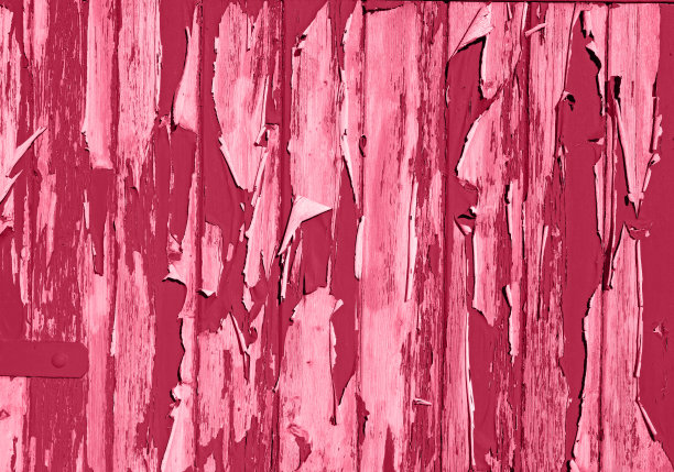 背景由红色剥落油漆制成。天然破旧的木地板或墙背景。破旧的木质乡村背景。老水平板。2023年年度色彩:品红万岁图片下载