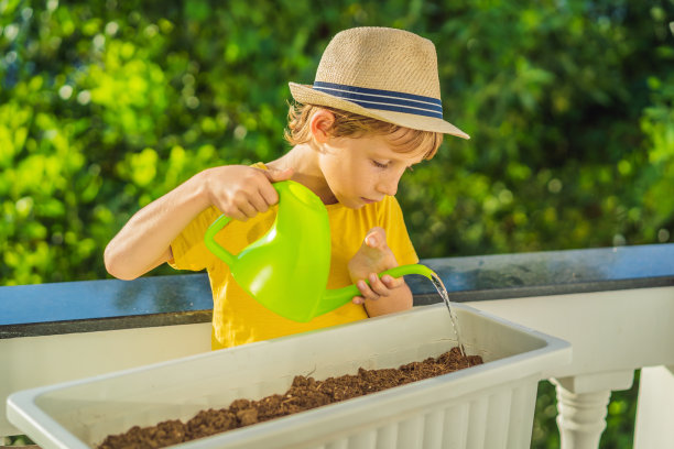 那个男孩正在阳台上做园艺。儿童的自然发展图片下载