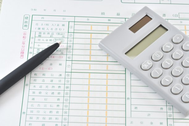 蓝回报财务报表图片下载