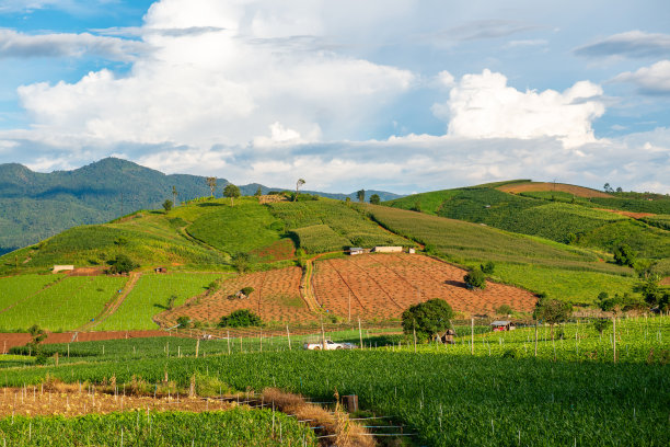 在清迈省的Mae Chaem区，农业区的山景图片下载