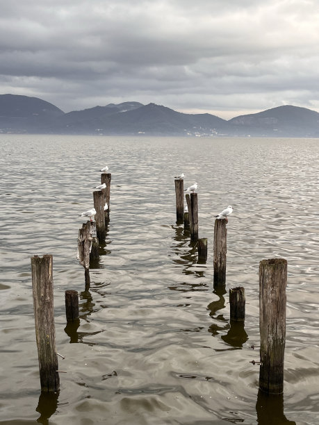 托斯卡纳的普契尼湖旁图片下载
