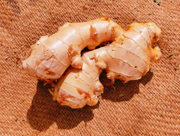 Adrak生姜根香料辛辣芳香的根茎的热带亚洲草药印度中国烹饪和民间药物姜姜，膳食补充剂姜姜特写图像图片资料照片图片下载