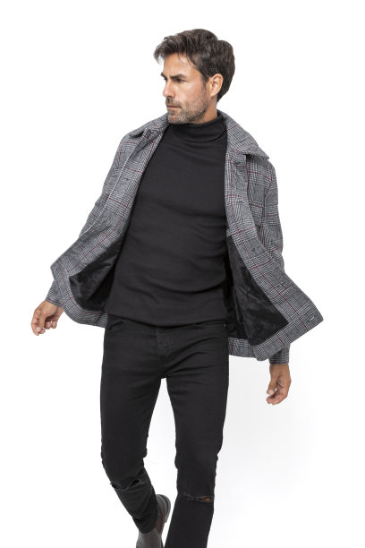 英俊的中年西班牙短粗胡须男子在白色工作室。图片下载