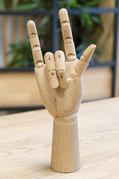 一个人手模型展示了一个摇或角的手势图片下载