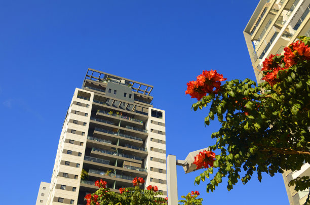 美丽街区：白色高层现代住宅楼图片下载