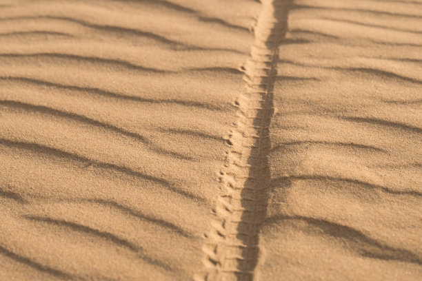 沙漠中沙地上的自行车轮印图片下载