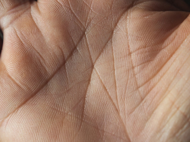 手印手掌与交叉线图片下载