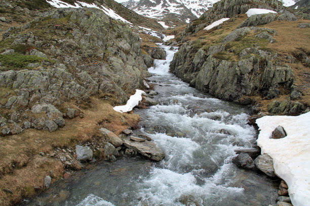 大圣伯纳德山口图片下载