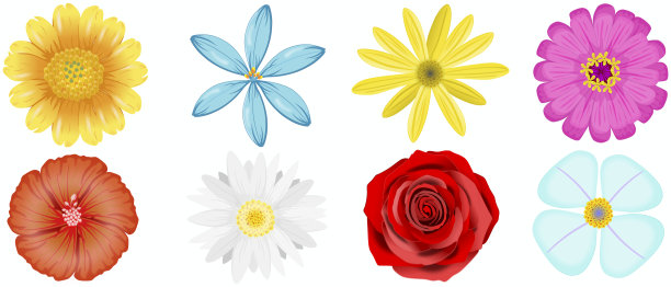 透明背景花卉套装图片下载