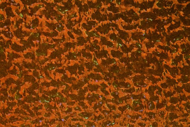 抽象的设计背景，任意的纹理概念。离婚和平滑的线条，颜色图片下载