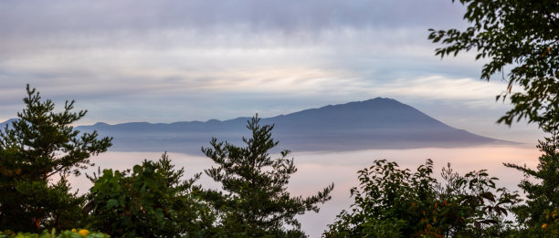 广阔的全景视野，穿过森林，越过云海，直到群山图片下载
