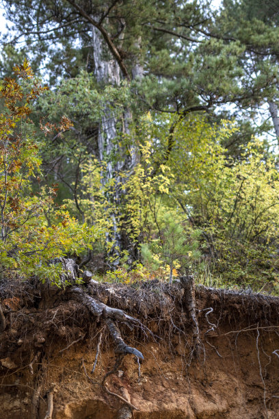 侵蚀与自然图片下载