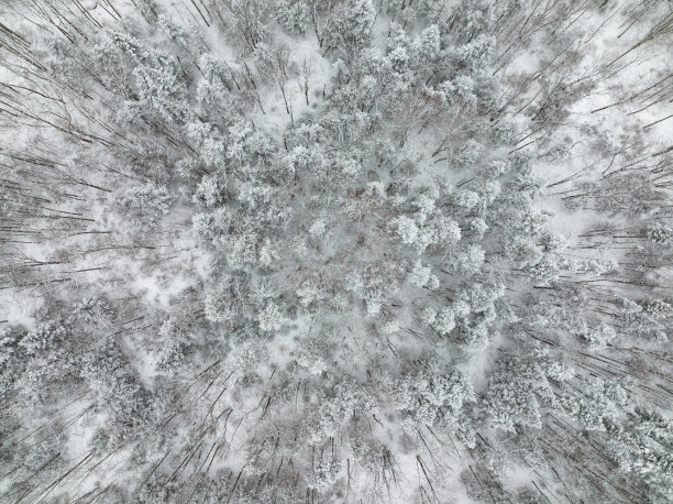 加拿大魁北克，暴风雪后冬季北方自然森林的鸟瞰图图片下载