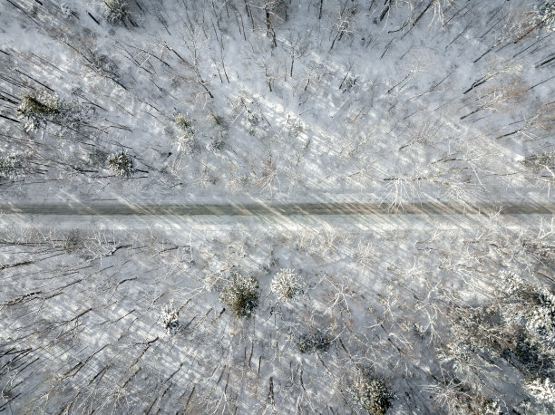 加拿大魁北克，暴风雪后冬季北方自然森林的鸟瞰图图片下载