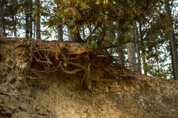 侵蚀和自然图片下载