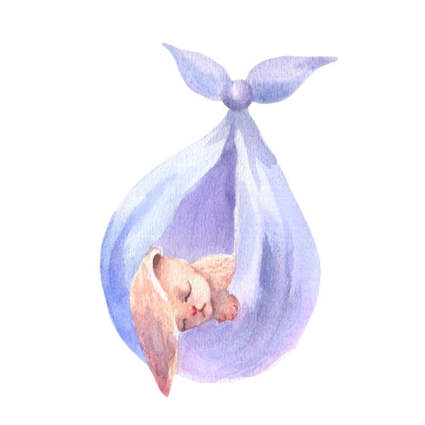 毛毯袋与睡兔托儿所水彩，孤立的白色背景。图片下载