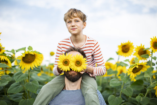 向日葵田里，父亲把儿子扛在肩上图片下载