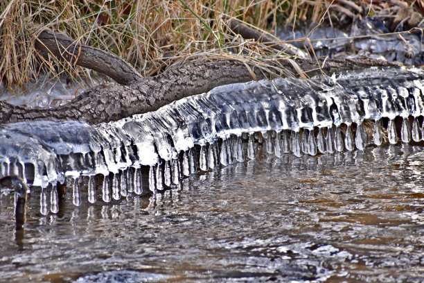 岸边的冰钟图片下载