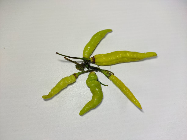 绿辣椒图片下载