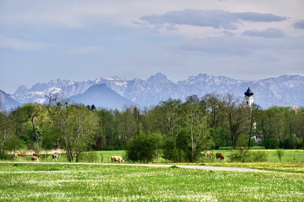 上巴伐利亚的一个小镇。春天里有坏的Aibling。巴伐利亚的春天。上巴伐利亚的春天全景。春天的巴伐利亚奶牛。春天的巴伐利亚教堂和风景。图片下载