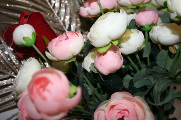 多刺的植物和家居装饰图片下载