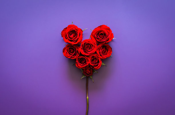 红色的玫瑰，在紫色的背景上有爱情形状的梗图片下载