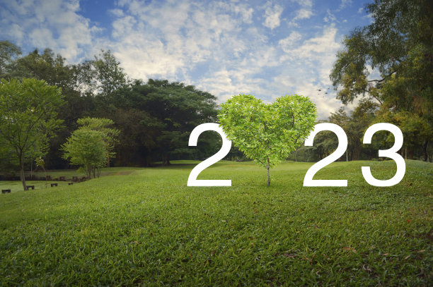 2023年情人节快乐封面概念图片下载