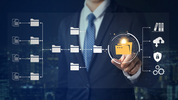 数据管理系统(DMS)。在线文档数据库和流程自动化，高效管理文件，商人点击受保护的文档连接。数字文件存储系统。图片下载