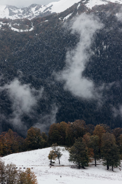 第一次下雪时，山上秋天森林的风景照片图片下载