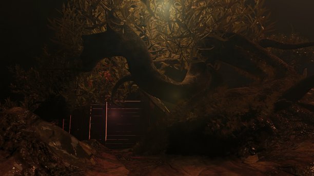 夜间花园-天气环境图片下载