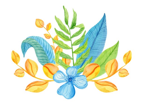 水彩花束与热带花卉和叶子孤立在白色背景。植物插图。图片下载